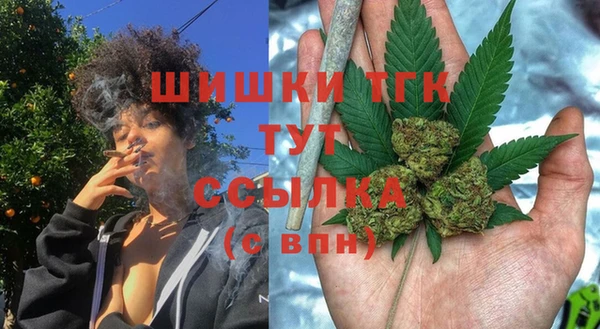 МДПВ Лиски