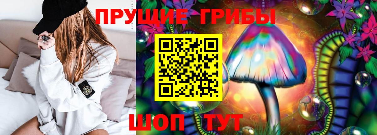 Псилоцибиновые грибы Magic Shrooms  Псилоцибиновые грибы MAGIC MUSHROOMS  Вход с VPN  Нижнекамск 