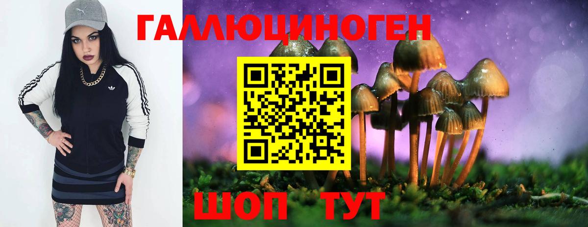 Галлюциногенные грибы GOLDEN TEACHER Нижнекамск